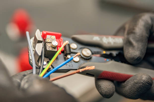 Best Electric Panel Repair  in Ridley Rk, PA